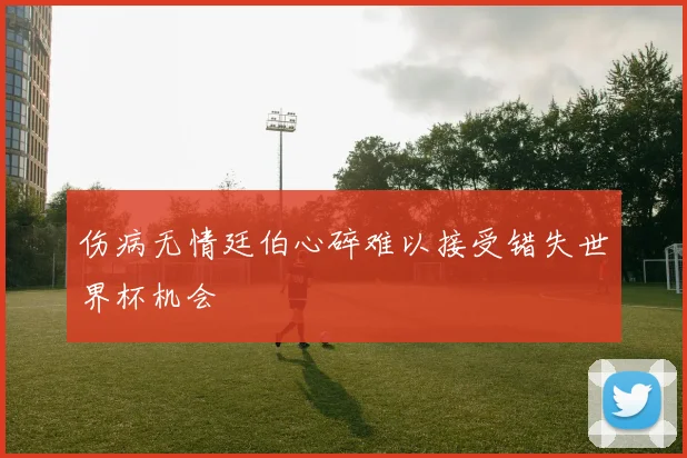 伤病无情廷伯心碎难以接受错失世界杯机会