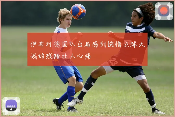 伊布对德国队出局感到惋惜点球大战的残酷让人心痛
